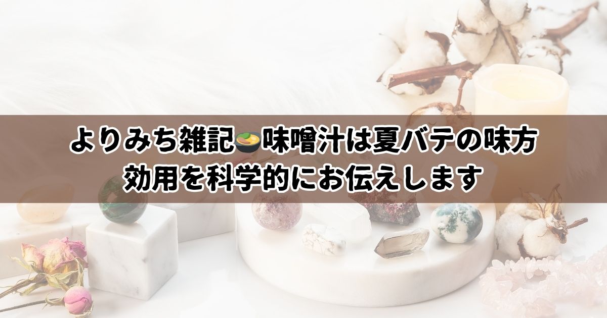 味噌汁は夏バテの味方